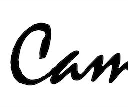 Page logo