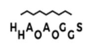 Page logo