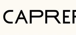 Page logo