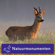 Page logo