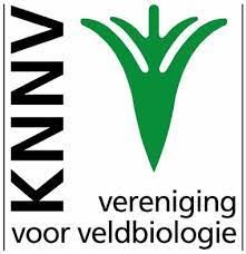 Page logo